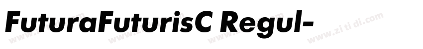 FuturaFuturisC Regul字体转换